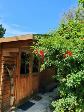 La Cabane du Pesquier en Provence